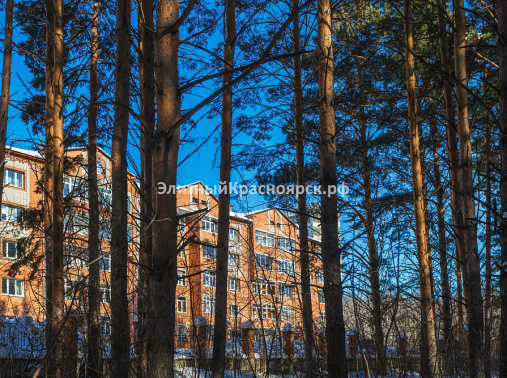 Просторная квартира в Академгородке цена 20000000.00