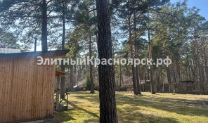 Участок с соснами и городским отоплением цена 47000000.00 Фото 2.