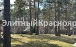 Участок с соснами и городским отоплением цена 47000000.00 Фото 5.